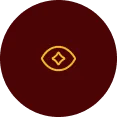Vision Icon